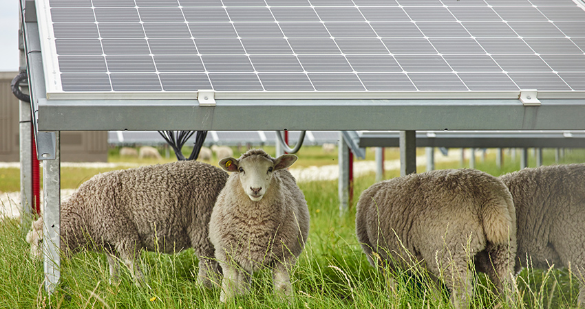 mobileheader-zonnepanelen